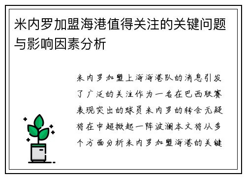 米内罗加盟海港值得关注的关键问题与影响因素分析 米内罗加盟海港值得关注的关键问题与影响因素分析